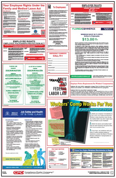 Labor Law Compliance All-in-One Poster