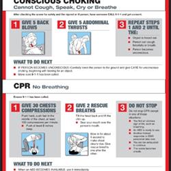Postings, SafeStaff Choking - Heimlich Maneuver Poster