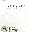 Employee Food Handler Guide - English, by SafeStaff